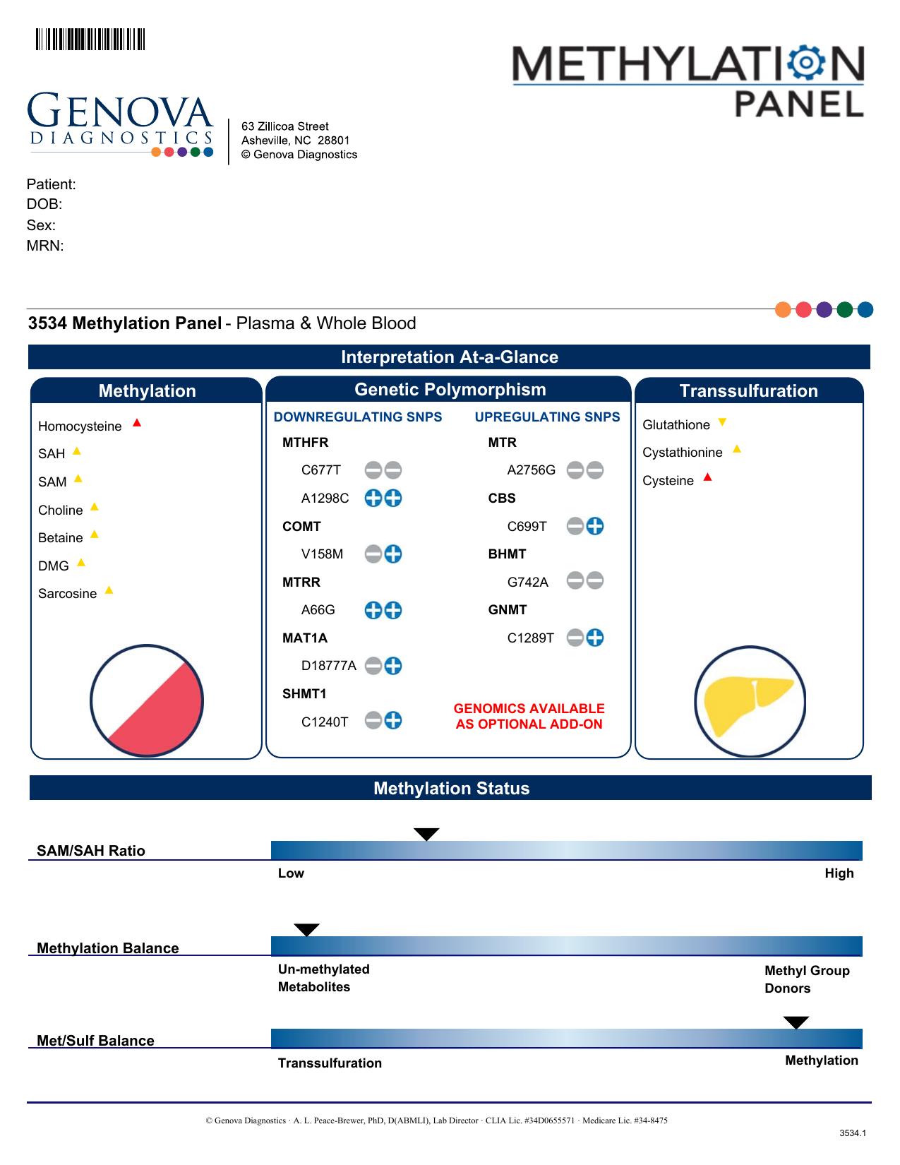 Página de Interpretação At-a-Glance e Methylation Status do laudo Methylation Panel