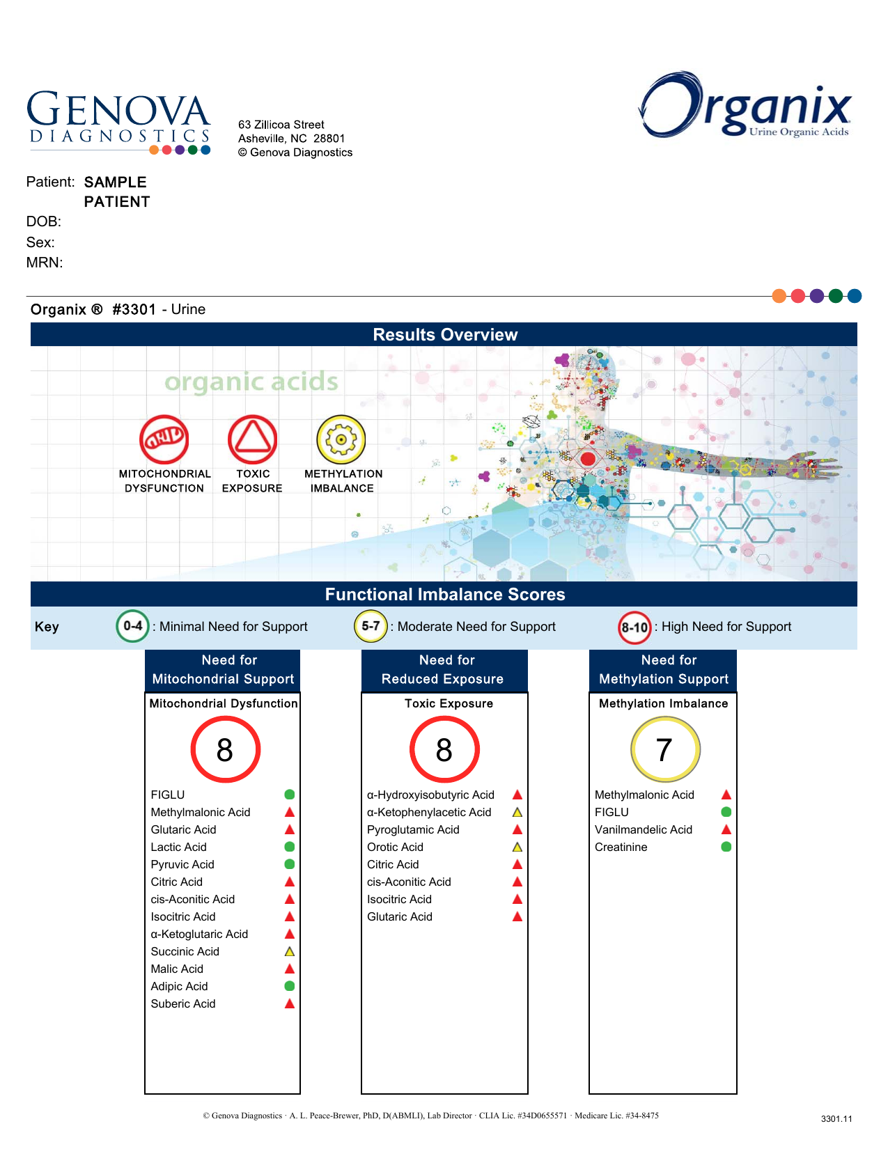 Página de Results Overview e Functional Imbalance Scores do laudo Organix